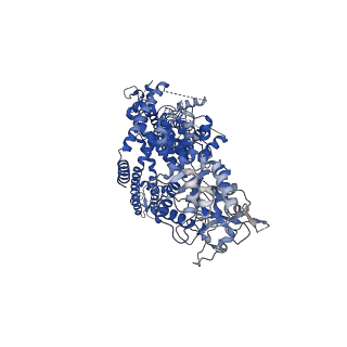 7081_6bcj_A_v1-4
cryo-EM structure of TRPM4 in apo state with short coiled coil at 3.1 angstrom resolution