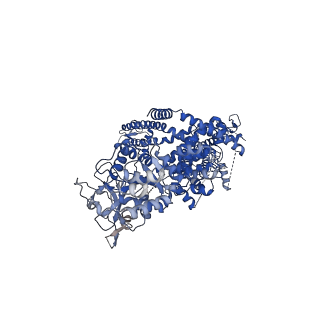7081_6bcj_B_v1-4
cryo-EM structure of TRPM4 in apo state with short coiled coil at 3.1 angstrom resolution