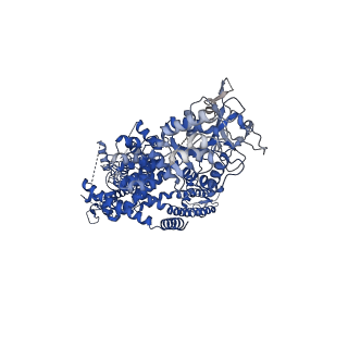 7081_6bcj_C_v1-4
cryo-EM structure of TRPM4 in apo state with short coiled coil at 3.1 angstrom resolution