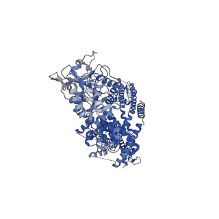 7081_6bcj_D_v1-4
cryo-EM structure of TRPM4 in apo state with short coiled coil at 3.1 angstrom resolution