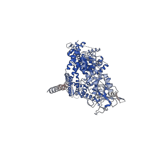 7082_6bcl_A_v1-5
cryo-EM structure of TRPM4 in apo state with long coiled coil at 3.5 angstrom resolution