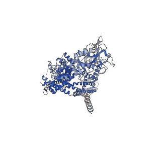 7082_6bcl_C_v1-5
cryo-EM structure of TRPM4 in apo state with long coiled coil at 3.5 angstrom resolution