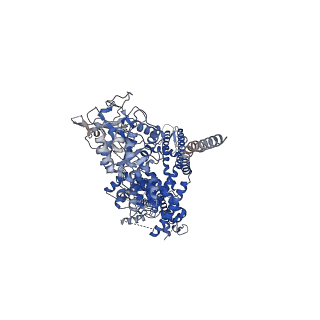 7082_6bcl_D_v1-5
cryo-EM structure of TRPM4 in apo state with long coiled coil at 3.5 angstrom resolution