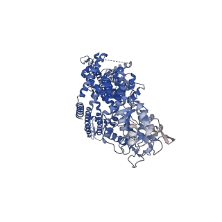 7083_6bco_A_v1-5
cryo-EM structure of TRPM4 in ATP bound state with short coiled coil at 2.9 angstrom resolution