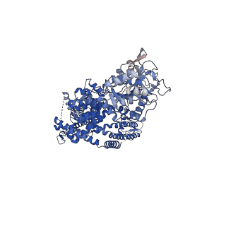 7083_6bco_C_v1-5
cryo-EM structure of TRPM4 in ATP bound state with short coiled coil at 2.9 angstrom resolution
