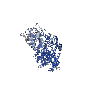 7083_6bco_D_v1-5
cryo-EM structure of TRPM4 in ATP bound state with short coiled coil at 2.9 angstrom resolution