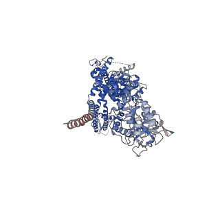 7085_6bcq_A_v1-4
cryo-EM structure of TRPM4 in ATP bound state with long coiled coil at 3.3 angstrom resolution