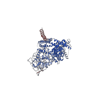 7085_6bcq_B_v1-4
cryo-EM structure of TRPM4 in ATP bound state with long coiled coil at 3.3 angstrom resolution