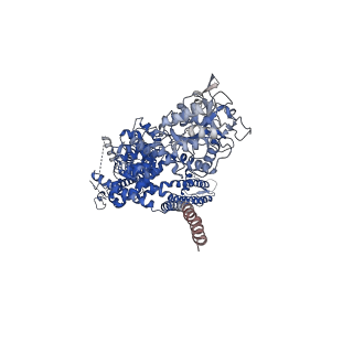 7085_6bcq_C_v1-4
cryo-EM structure of TRPM4 in ATP bound state with long coiled coil at 3.3 angstrom resolution