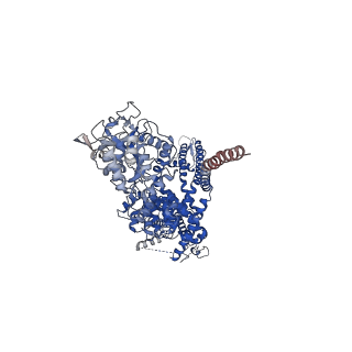 7085_6bcq_D_v1-4
cryo-EM structure of TRPM4 in ATP bound state with long coiled coil at 3.3 angstrom resolution