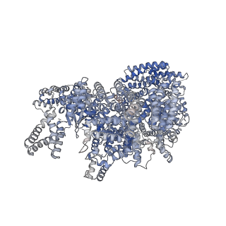 7086_6bcu_A_v1-4
Cryo-EM structure of the activated RHEB-mTORC1 refined to 3.4 angstrom