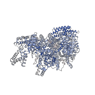 7086_6bcu_A_v1-5
Cryo-EM structure of the activated RHEB-mTORC1 refined to 3.4 angstrom