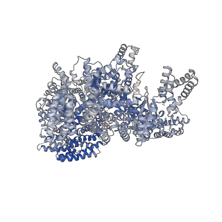 7086_6bcu_B_v1-4
Cryo-EM structure of the activated RHEB-mTORC1 refined to 3.4 angstrom