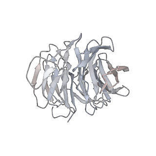 7086_6bcu_D_v1-4
Cryo-EM structure of the activated RHEB-mTORC1 refined to 3.4 angstrom
