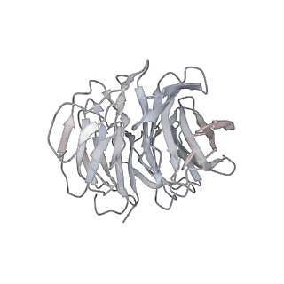 7086_6bcu_D_v1-5
Cryo-EM structure of the activated RHEB-mTORC1 refined to 3.4 angstrom