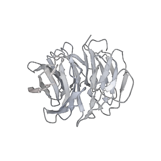 7086_6bcu_E_v1-4
Cryo-EM structure of the activated RHEB-mTORC1 refined to 3.4 angstrom