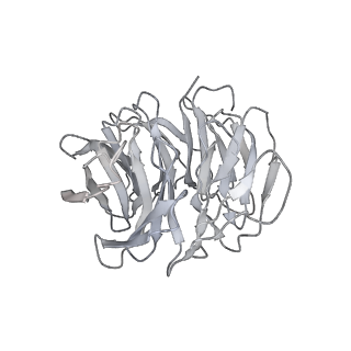 7086_6bcu_E_v1-5
Cryo-EM structure of the activated RHEB-mTORC1 refined to 3.4 angstrom