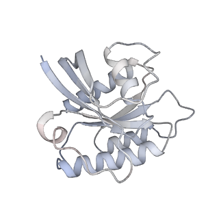 7086_6bcu_R_v1-4
Cryo-EM structure of the activated RHEB-mTORC1 refined to 3.4 angstrom
