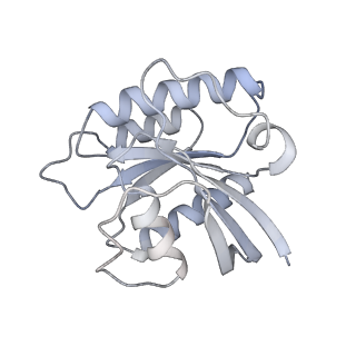 7086_6bcu_S_v1-4
Cryo-EM structure of the activated RHEB-mTORC1 refined to 3.4 angstrom