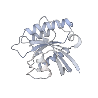 7086_6bcu_S_v1-5
Cryo-EM structure of the activated RHEB-mTORC1 refined to 3.4 angstrom