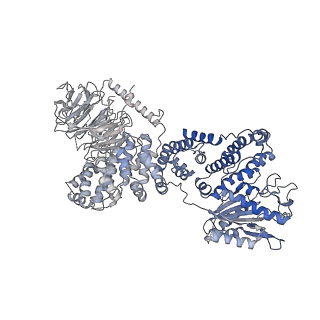 7086_6bcu_W_v1-4
Cryo-EM structure of the activated RHEB-mTORC1 refined to 3.4 angstrom