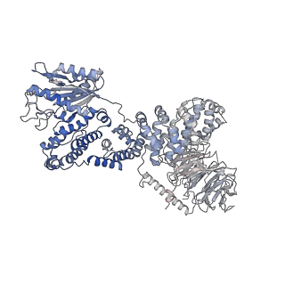 7086_6bcu_Y_v1-4
Cryo-EM structure of the activated RHEB-mTORC1 refined to 3.4 angstrom