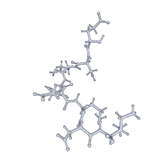 7086_6bcu_Z_v1-5
Cryo-EM structure of the activated RHEB-mTORC1 refined to 3.4 angstrom