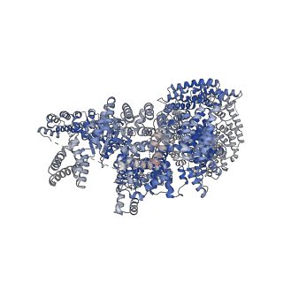 7087_6bcx_A_v1-5
mTORC1 structure refined to 3.0 angstroms