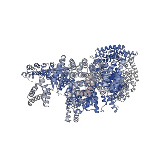 7087_6bcx_A_v1-6
mTORC1 structure refined to 3.0 angstroms