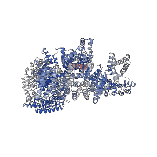 7087_6bcx_B_v1-5
mTORC1 structure refined to 3.0 angstroms