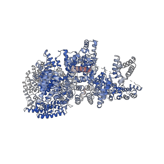 7087_6bcx_B_v1-6
mTORC1 structure refined to 3.0 angstroms