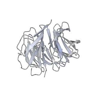 7087_6bcx_D_v1-5
mTORC1 structure refined to 3.0 angstroms