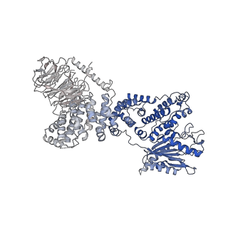 7087_6bcx_W_v1-6
mTORC1 structure refined to 3.0 angstroms