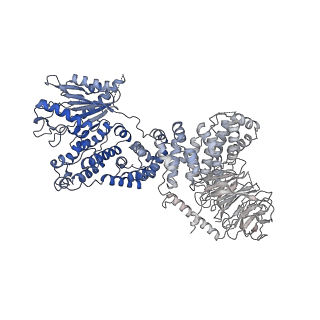 7087_6bcx_Y_v1-5
mTORC1 structure refined to 3.0 angstroms