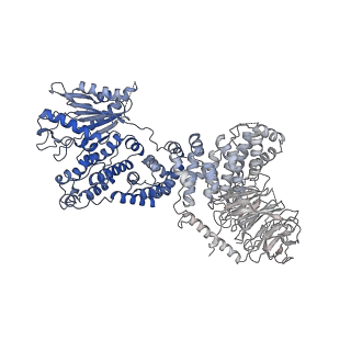 7087_6bcx_Y_v1-6
mTORC1 structure refined to 3.0 angstroms