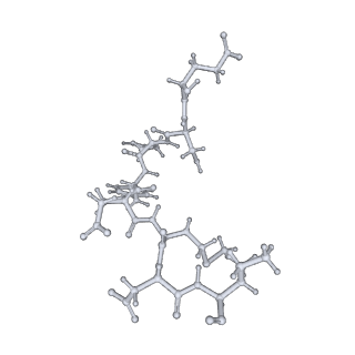 7087_6bcx_Z_v1-5
mTORC1 structure refined to 3.0 angstroms