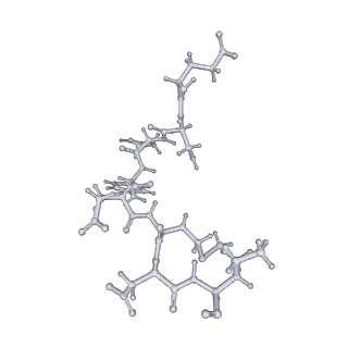 7087_6bcx_Z_v1-6
mTORC1 structure refined to 3.0 angstroms