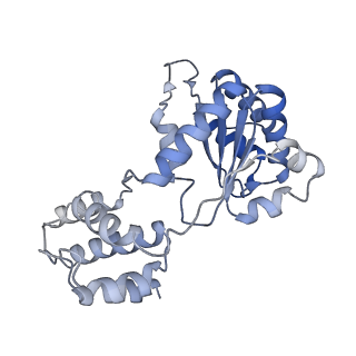 15975_8bd5_F_v1-2
Cas12k-sgRNA-dsDNA-S15-TniQ-TnsC transposon recruitment complex