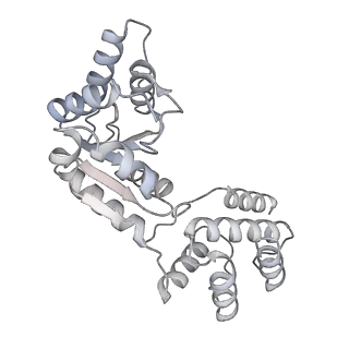 15975_8bd5_H_v1-2
Cas12k-sgRNA-dsDNA-S15-TniQ-TnsC transposon recruitment complex