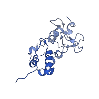15975_8bd5_Q_v1-2
Cas12k-sgRNA-dsDNA-S15-TniQ-TnsC transposon recruitment complex