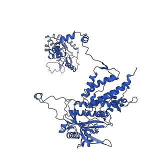 15984_8bdr_A_v1-1
Early transcription elongation state of influenza B/Mem polymerase backtracked due to double incoproation of nucleotide analogue T1106 and with singly incoporated T1106 at the U +1 position