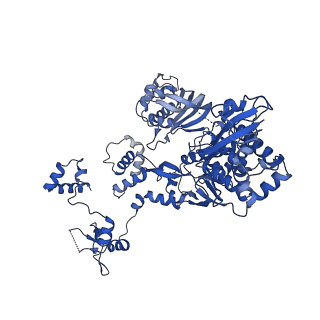 15984_8bdr_C_v1-1
Early transcription elongation state of influenza B/Mem polymerase backtracked due to double incoproation of nucleotide analogue T1106 and with singly incoporated T1106 at the U +1 position