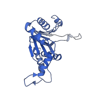 6287_6bdf_0_v1-4
2.8 A resolution reconstruction of the Thermoplasma acidophilum 20S proteasome using cryo-electron microscopy