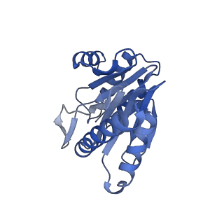 6287_6bdf_1_v1-4
2.8 A resolution reconstruction of the Thermoplasma acidophilum 20S proteasome using cryo-electron microscopy