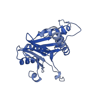 6287_6bdf_A_v1-4
2.8 A resolution reconstruction of the Thermoplasma acidophilum 20S proteasome using cryo-electron microscopy