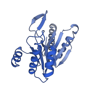 6287_6bdf_B_v1-4
2.8 A resolution reconstruction of the Thermoplasma acidophilum 20S proteasome using cryo-electron microscopy