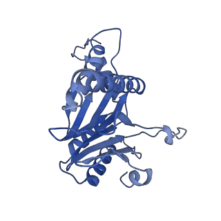 6287_6bdf_C_v1-3
2.8 A resolution reconstruction of the Thermoplasma acidophilum 20S proteasome using cryo-electron microscopy