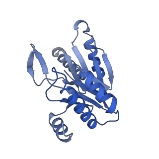 6287_6bdf_D_v1-3
2.8 A resolution reconstruction of the Thermoplasma acidophilum 20S proteasome using cryo-electron microscopy