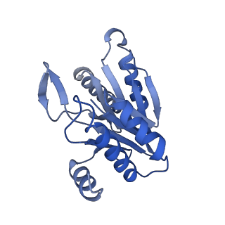 6287_6bdf_D_v1-4
2.8 A resolution reconstruction of the Thermoplasma acidophilum 20S proteasome using cryo-electron microscopy