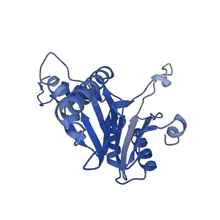 6287_6bdf_E_v1-4
2.8 A resolution reconstruction of the Thermoplasma acidophilum 20S proteasome using cryo-electron microscopy